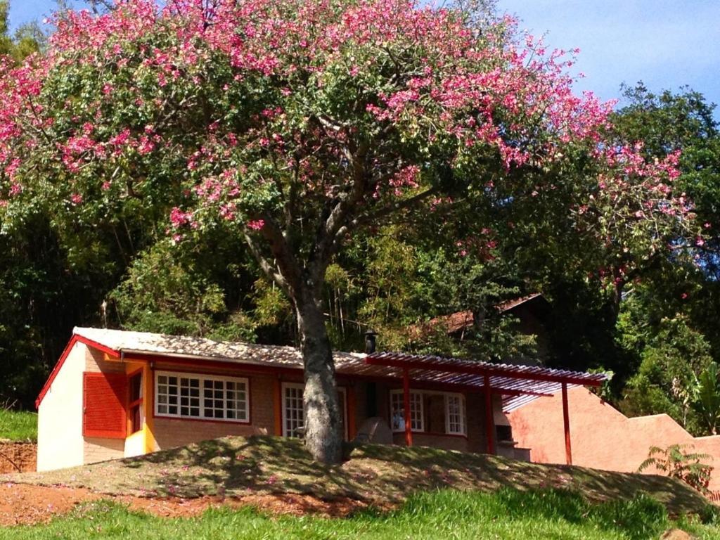 Pousada Chales Da Casa Centenaria Santo Antônio do Pinhal Exterior foto